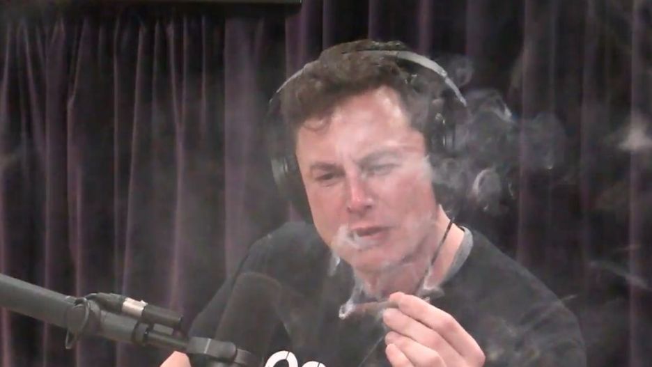 Elon Musk palił na wizji
