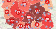 Koronawirus w Polsce i na świecie. Mapa zakażeń. Aktualne dane o liczbie chorych na COVID-19
