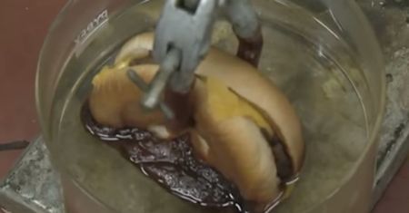 Tak właśnie reaguje Twój żołądek, kiedy jesz w McDonald's... To gorsze niż myślałeś!