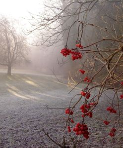 Prognoza pogody na dziś - 27 listopada. Słonecznie i pogodnie w centrum. Na południu śnieg