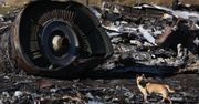 Katastrofa MH17. Ważny świadek przekazany Rosji. Holandia wystąpiła o ekstradycję