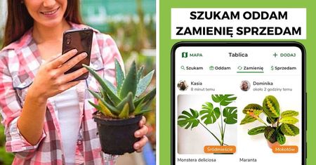 Plantswapp, czyli kwiaty na wirtualnym rynku. Pierwsza aplikacja dla wszystkich roślinoholików
