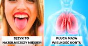 16 zaskakujących ciekawostek o ludzkim ciele, które wywołują zdziwienie nawet badaczy i lekarzy