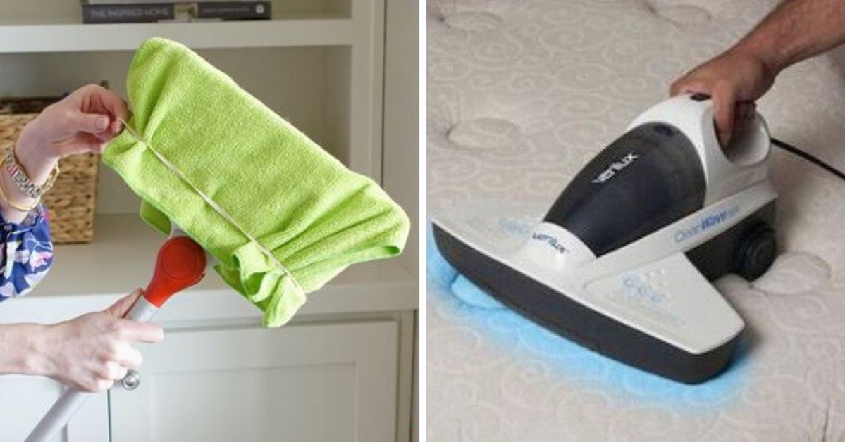 How to Reduce the Level of Allergens at Home? Quick and Effective Cleaning Methods Designed for Allergy Sufferers
