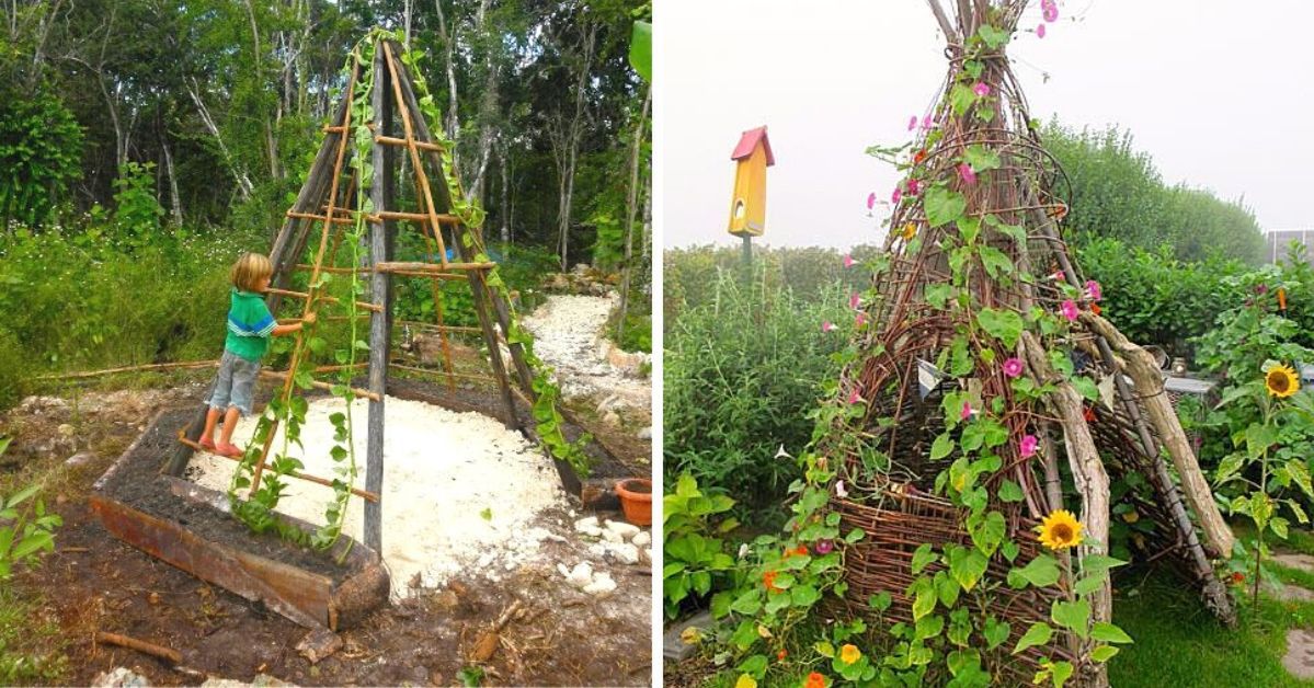 Tipi of Decorative Climbers – a Perfect Place for Children. You Can Do It Yourself!