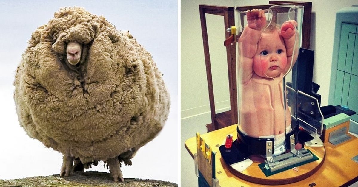 18 Weird Situations That an ‘Average Citizen’ Can Only See in Photos