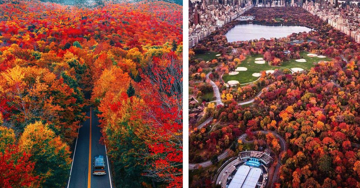 The Madness of Colors. 30 Breathtaking Fall Images You Won’t Take Your Eyes Off