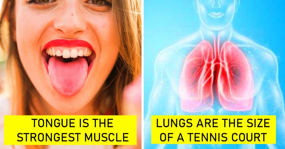 16 Surprising Facts about Human Body. Even Doctors and Scientists Find Some of Them Astonishing