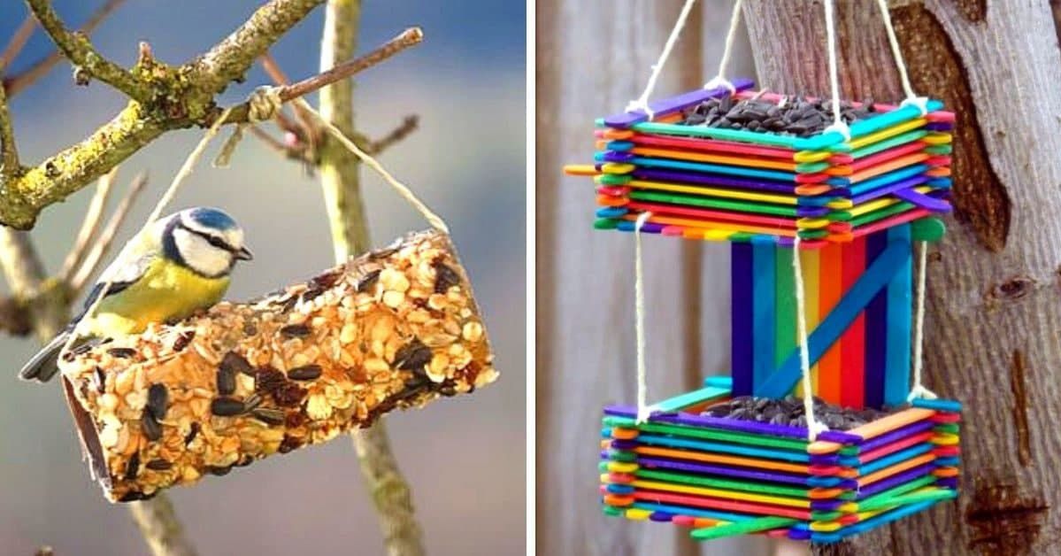 13 Ideas for Making Your Own Bird Feeder. Your Winged Friends Will Love it