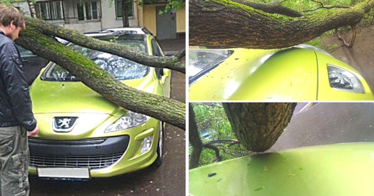 5 Weird Cases of Cars Avoiding Any Damage. It’s Really Hard to Believe It!