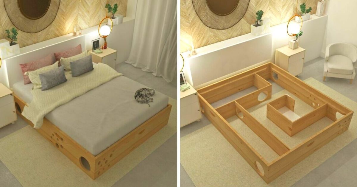 Cutting Edge Combined Beds For Cats. Now You Can Easily Share Your Bedroom With a Four-Legged Friend