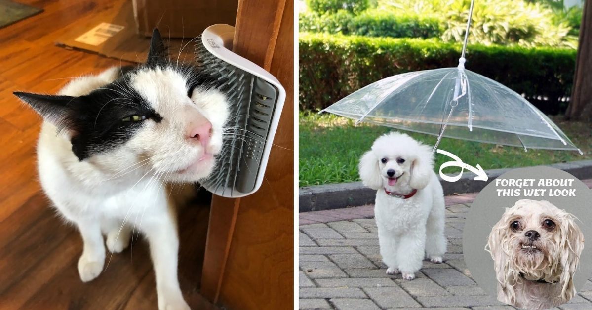 19 Products for Cats and Dogs Solving So Many Problems