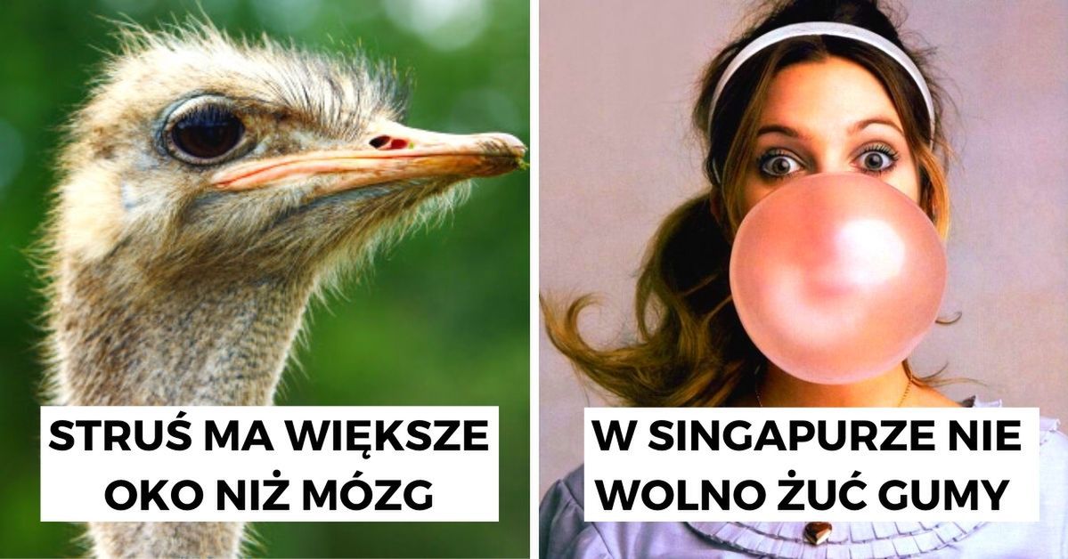 21 zadziwiających ciekawostek, które wywrócą do góry nogami Twój światopogląd