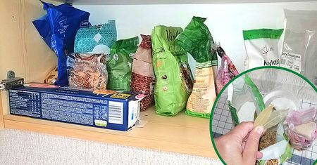 Moją kuchnię mole omijają szerokim łukiem. Wystarczyła jedna roślina