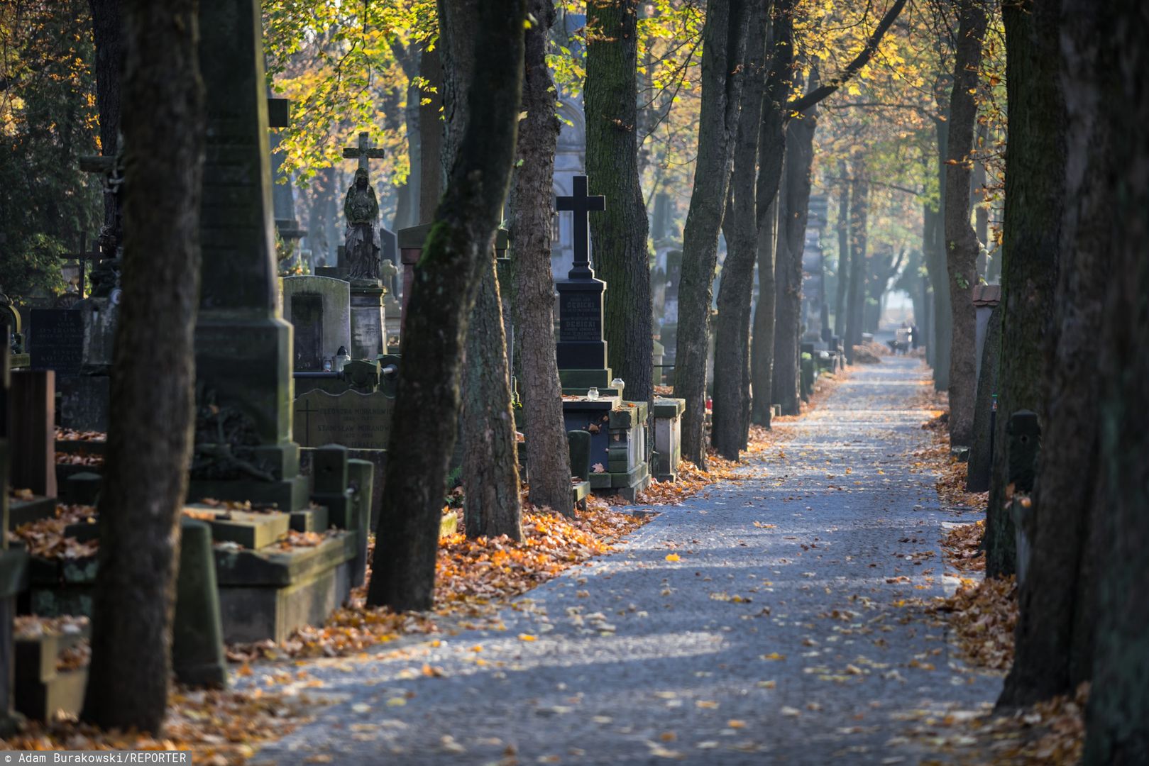 Pogoda na 1 listopada. Rano cmentarne alejki powitają nas słoneczną, ale mroźną aurą