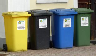 Większość Polaków popiera segregowanie śmieci. Badanie Ariadny