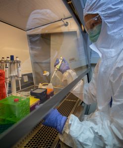 Ruszyły prywatne testy na koronawirusa. Gdańska firma podała cenę