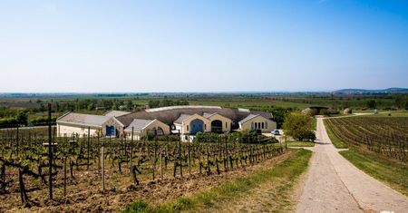 Węgry - odwiedź tokajski region winiarski