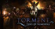 Andrzej Blumenfeld jako Aligern w Torment: Tides of Numenera