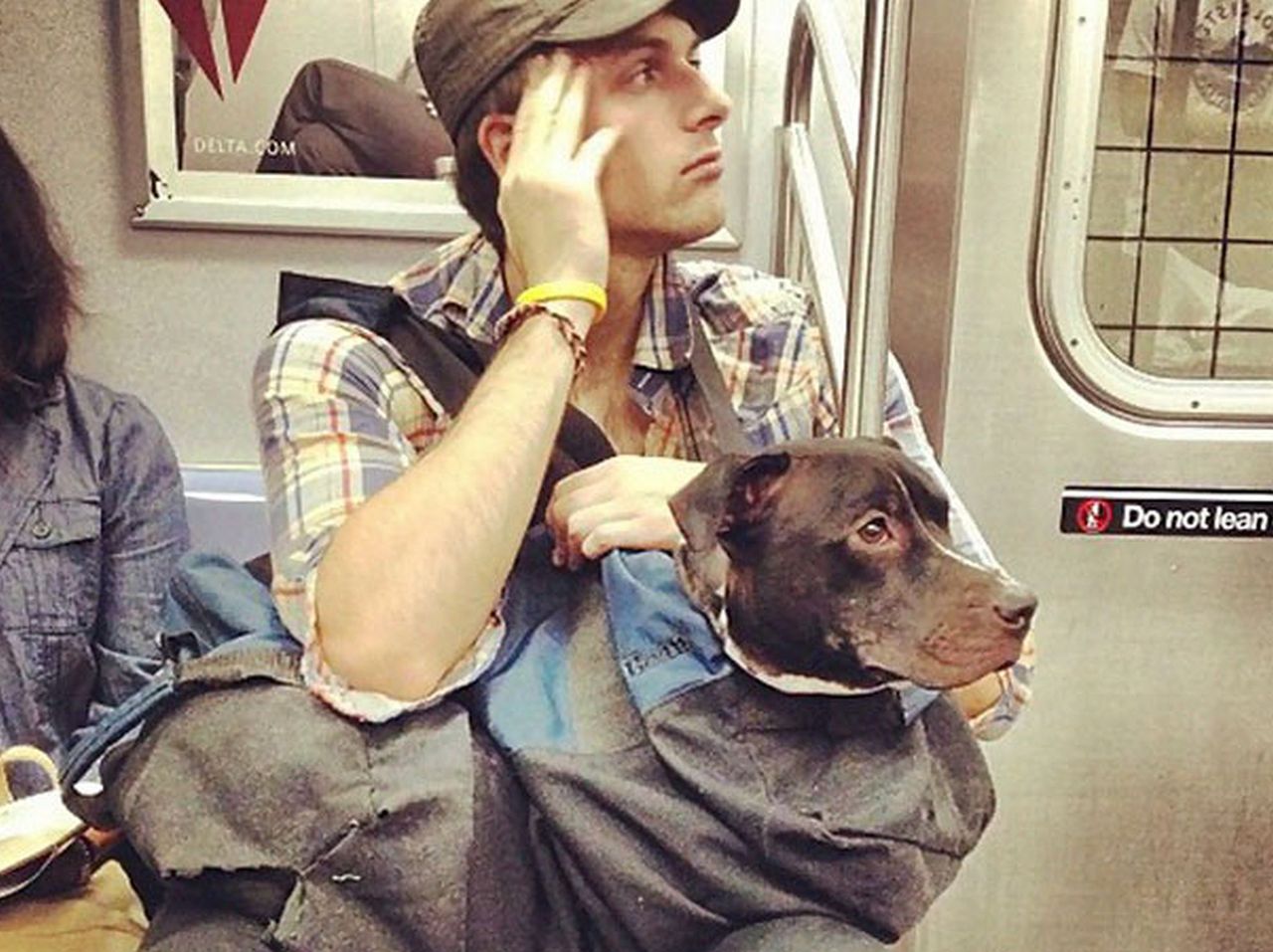 Nietypowy bagaż. Pies w reklamówce?