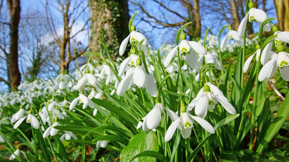 Prognoza pogody na dziś - wtorek 12 marca. Jaka będzie dziś pogoda w Warszawie, Gdańsku, Krakowie i Wrocławiu?