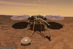 NASA: sonda InSight przesyła kolejne zdjęcia z Marsa. Widać flagę Polski