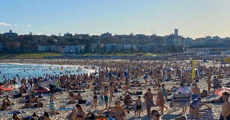 Australia. Zignorowali ostrzeżenia. 10 zarażonych po imprezie na plaży