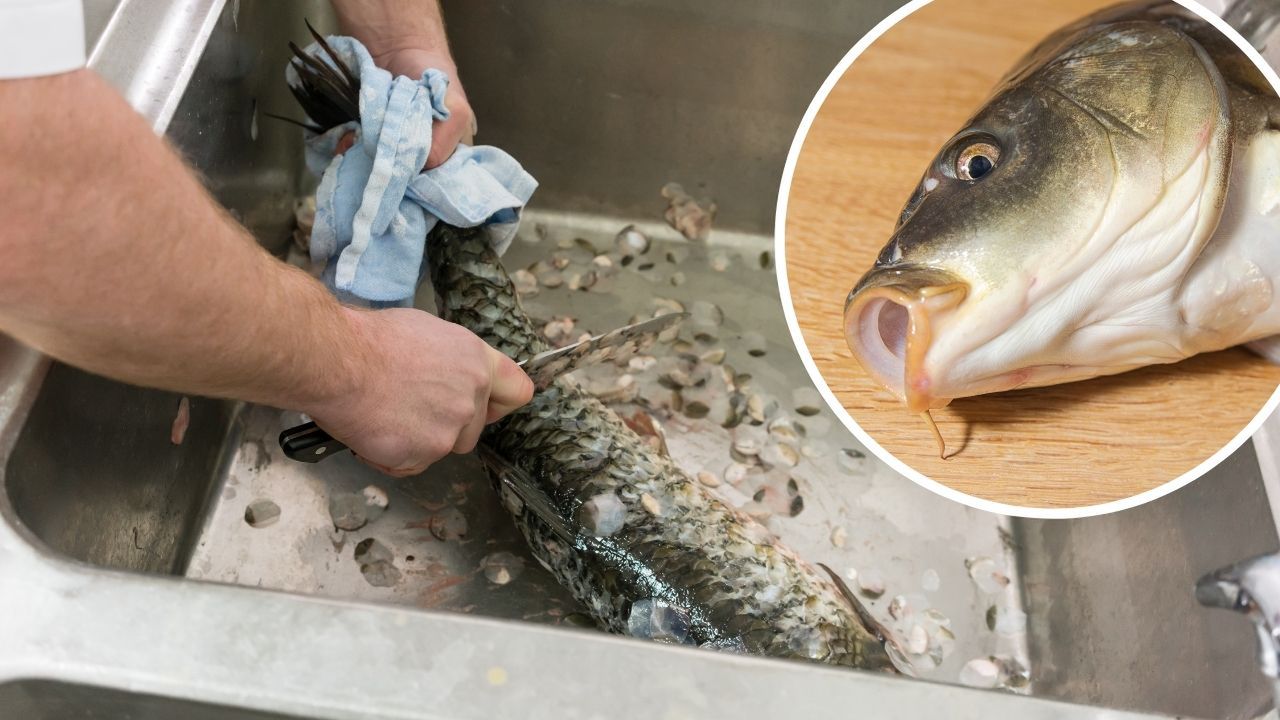 Trik na oczyszczenie ryby z łusek. Bez noża w zaledwie 5 minut