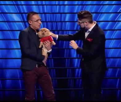 Piesek uczestnika "Take me out" skradł całe show. Zapewnił też swojemu panu randkę