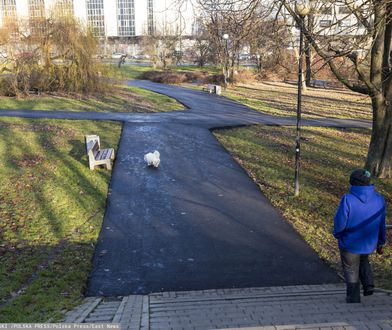 Warszawa. Park Morskie Oko zalany tonami asfaltu. "Prace za zgodą konserwatora"