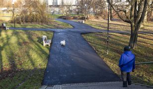 Warszawa. Park Morskie Oko zalany tonami asfaltu. "Prace za zgodą konserwatora"