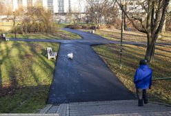 Warszawa. Park Morskie Oko zalany tonami asfaltu. "Prace za zgodą konserwatora"