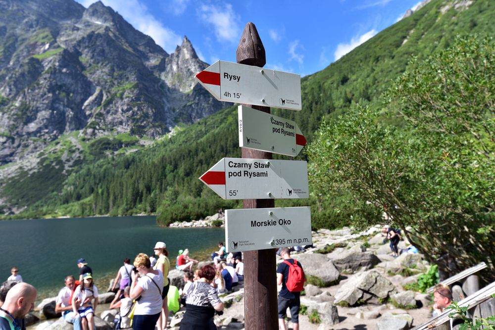 Jeleń na gigancie. Niecodzienna atrakcja nad Morskim Okiem