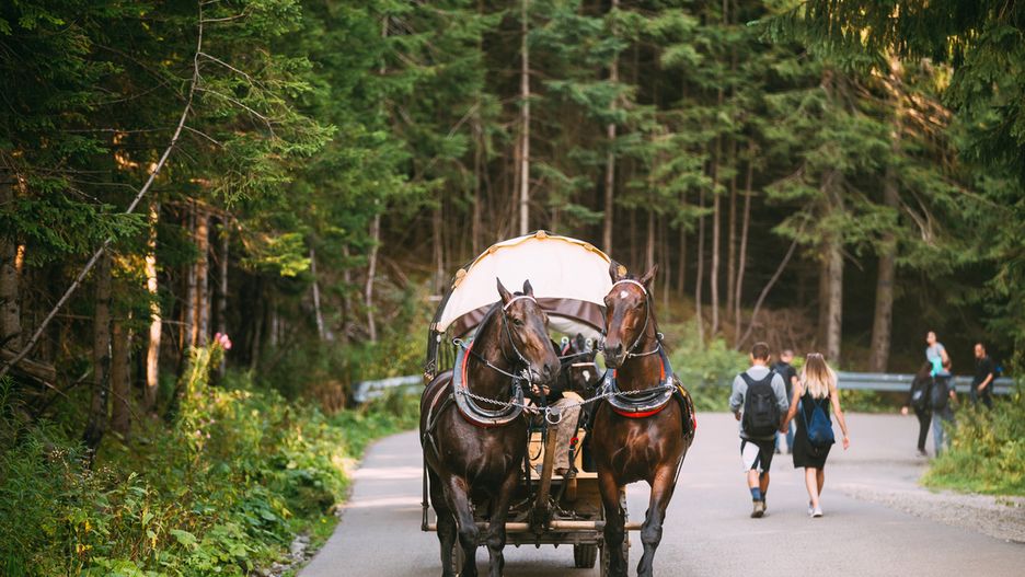 Turyści chętnie korzystają z przejazdów fasiągami nad Morskie Oko