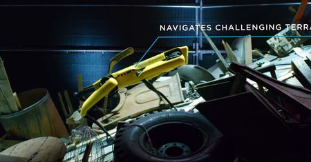Boston Dynamics - psy roboty już w sprzedaży, Atlas z kolejnymi ewolucjami