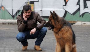 Seriale TV na dziś. "Komisarz Alex", "CSI: Kryminalne zagadki Nowego Jorku", "Co ludzie powiedzą?", "Wenecja" [Sobota 31.08.2019]