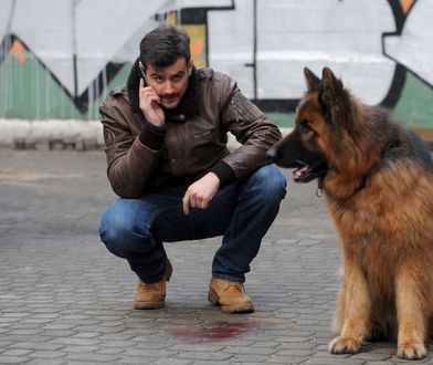 Seriale TV na dziś. "Komisarz Alex", "CSI: Kryminalne zagadki Nowego Jorku", "Co ludzie powiedzą?", "Wenecja" [Sobota 31.08.2019]
