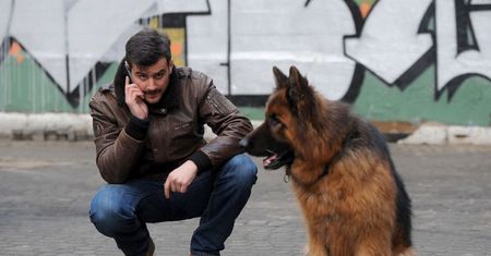 Seriale, teleturnieje i reality-show na dziś - "Komisarz Alex", "Mam talent", "Twoja twarz brzmi znajomo" [Sobota 05.10.2019]