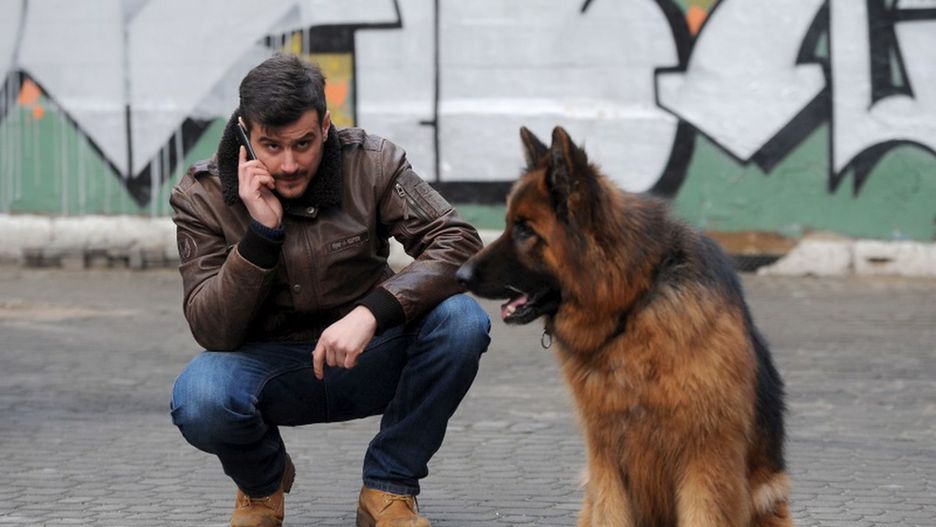 Seriale, teleturnieje i reality-show na dziś - "Komisarz Alex", "Mam talent", "Twoja twarz brzmi znajomo"