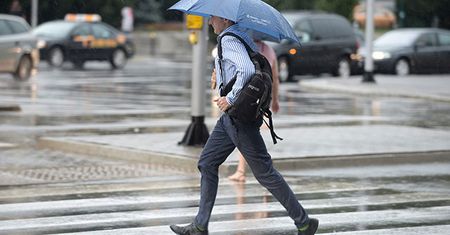 Będzie rewolucja. To pieszy będzie miał pierwszeństwo