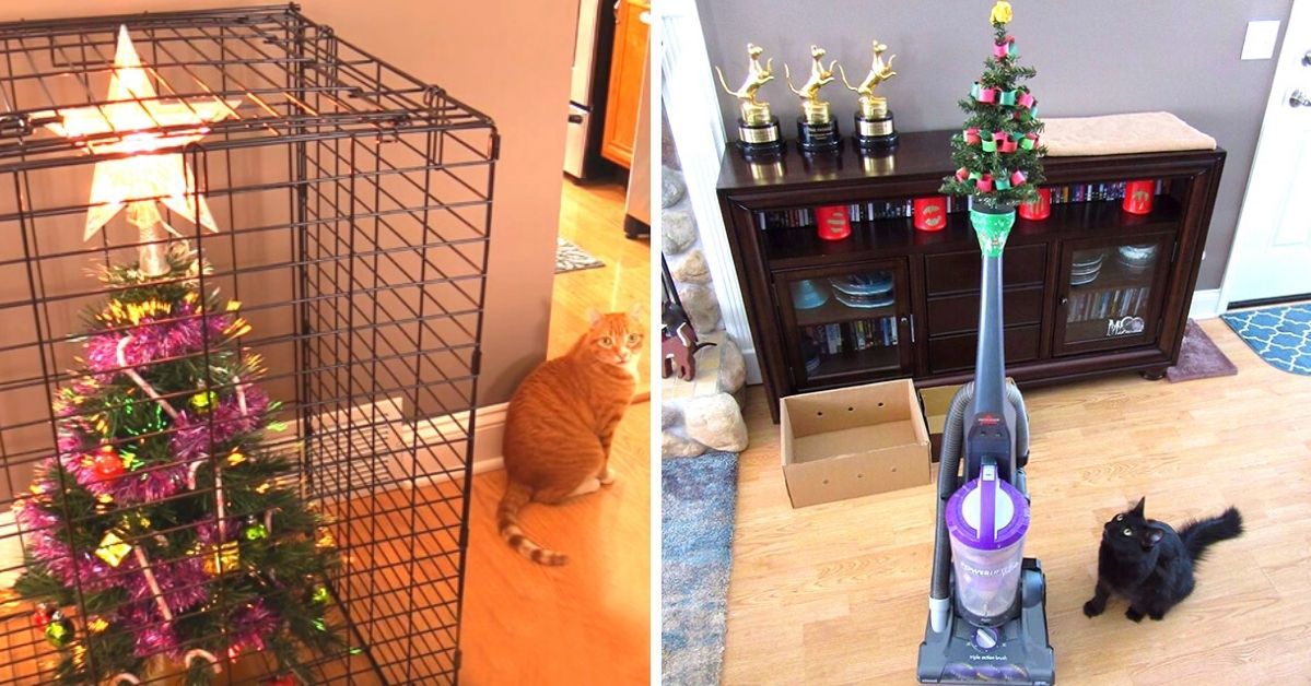 25 Determined People Who Have Developed a Brilliant Plan to Protect the Christmas Tree From Pets