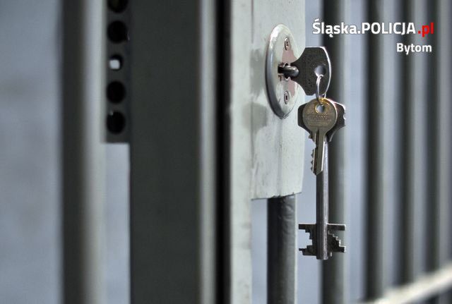 Napastnicy trafili do aresztu tymczasowego. Grozi im 12 lat więzienia