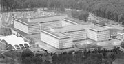 KGB kontra zwierzak z CIA. Co stało się z kotem, który miał podsłuchiwać rosyjskich dyplomatów?