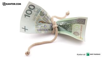 Dlaczego polska waluta osłabia się mimo silnej gospodarki?