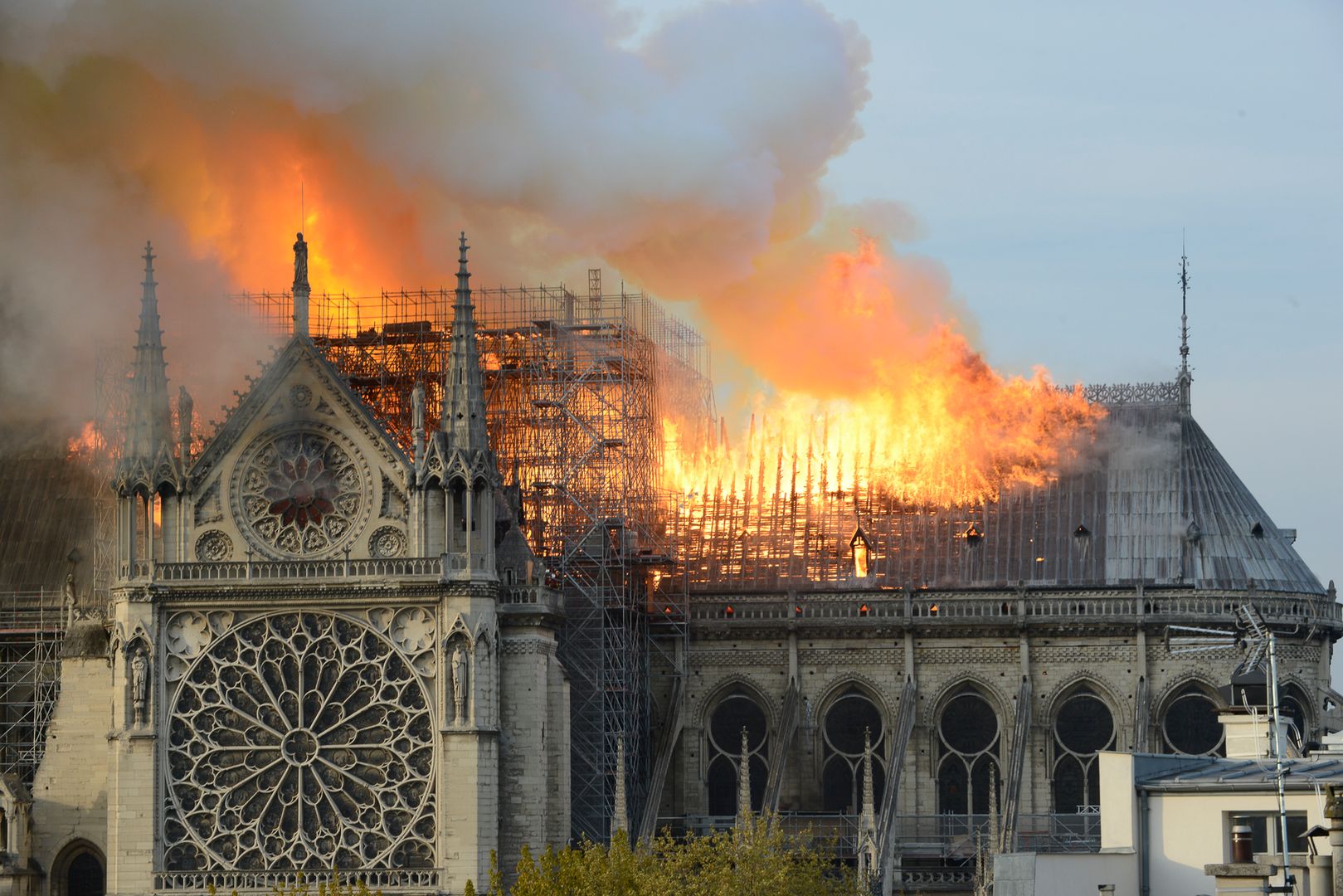 Wojna o Notre Dame. Generał chłoszcze architekta