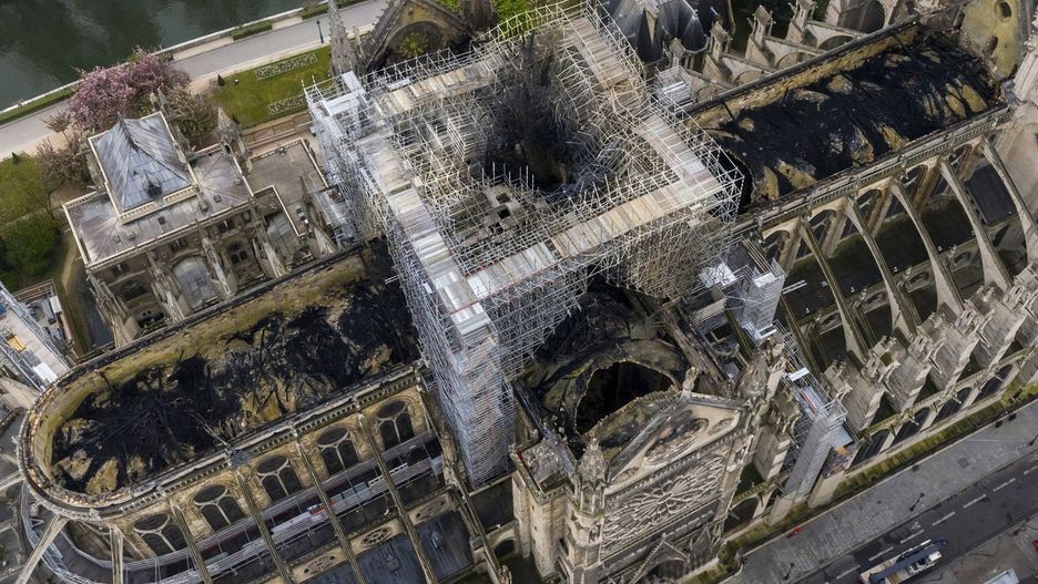 Katedra Notre Dame. Ocalały pszczoły na dachu