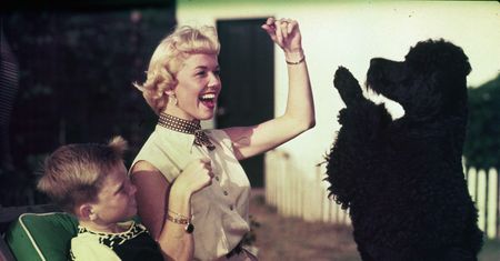 Walka o spadek po Doris Day. Wszystko zapisała swoim psom