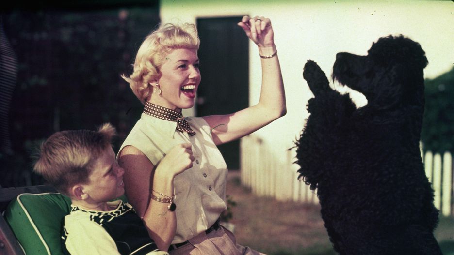 Doris Day cały majątek zapisała ukochanym pudlom