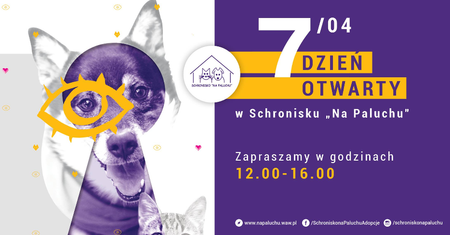 Bezdomne zwierzęta też mają swoje święto. Schronisko "Na Paluchu" uczci je dniem otwartym