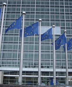 Wybory do Europarlamentu – 2019. Sprawdź, kiedy dokładnie odbędą się wybory i czym jest Parlament Europejski